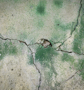 Fissure visible sur béton : inspection recommandée de la fondation