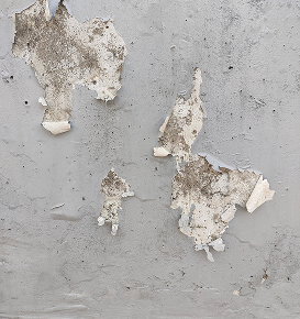 Efflorescence blanche sur béton : signe d’humidité et passage d’eau