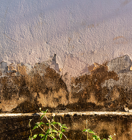Odeur de moisi au sous-sol : humidité persistante 
